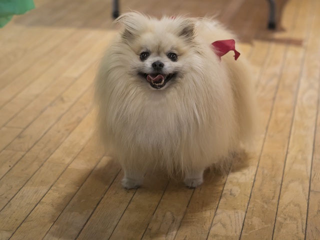 IMG_5108-Paton640x480-120625